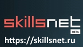 http://skillsnet.ru